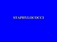 STAPHYLOCOCCI PowerPoint PPT Presentation