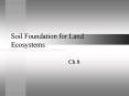 Soil Foundation for Land Ecosystems PowerPoint PPT Presentation