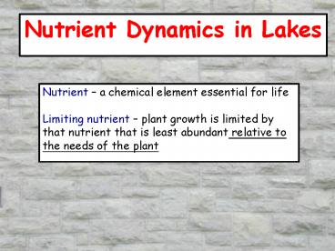Nutrient Dynamics in Lakes