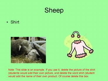 Sheep