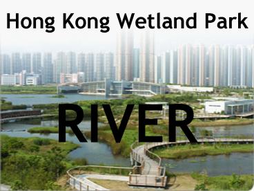 Hong Kong Wetland Park