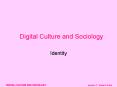 DIGITAL CULTURE AND SOCIOLOGY session 7  PowerPoint PPT Presentation