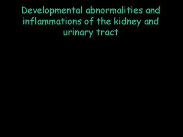 Developmental abnormalities and inflammations of the kidney and urinary tract
