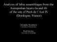 Analysis of lithic assemblages from the Asinipodian layers 6a and 6b of the site of Pech de lAz IV D PowerPoint PPT Presentation