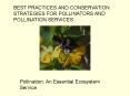 Pollination: An Essential Ecosystem Service PowerPoint PPT Presentation
