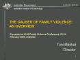 THE CAUSES OF FAMILY VIOLENCE: AN OVERVIEW PowerPoint PPT Presentation
