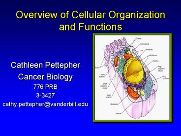 presentation player overlay