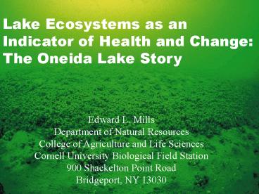 presentation player overlay