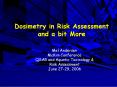 Dosimetry in Risk Assessment and a bit More PowerPoint PPT Presentation