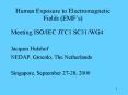 Human Exposure to Electromagnetic Fields EMFs PowerPoint PPT Presentation