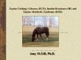 Equine Cushing PowerPoint PPT Presentation