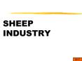 SHEEP INDUSTRY PowerPoint PPT Presentation
