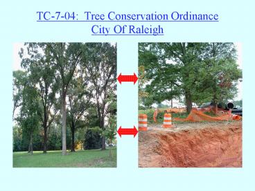 TC704: Tree Conservation Ordinance City Of Raleigh