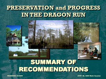 PRESERVATION and PROGRESS IN THE DRAGON RUN