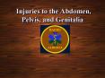 Injuries to the Abdomen, Pelvis, and Genitalia PowerPoint PPT Presentation