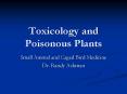 Toxicology and Poisonous Plants PowerPoint PPT Presentation