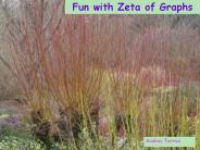 Fun%20with%20Zeta%20of%20Graphs