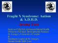 Fragile X Syndrome: Autism PowerPoint PPT Presentation