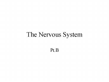 The Nervous System