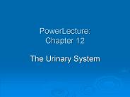 PowerLecture: Chapter 12