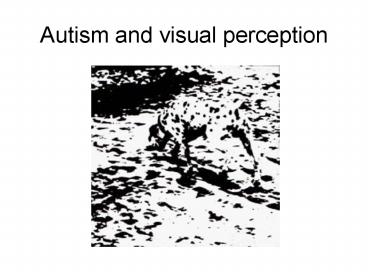 Autism and visual perception