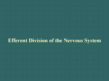 Efferent Division of the Nervous System