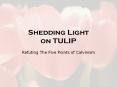 Shedding Light on TULIP PowerPoint PPT Presentation