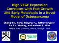 High VEGF Expression Correlates with Fast Growth and Early Metastasis in a Novel Model of Osteosarcoma PowerPoint PPT Presentation