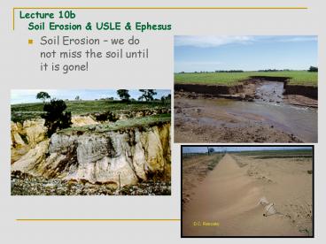 presentation player overlay