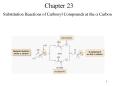 Substitution Reactions of Carbonyl Compounds at the Carbon PowerPoint PPT Presentation