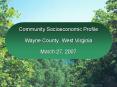 Community Socioeconomic Profile Wayne County, West Virginia March 27, 2007 PowerPoint PPT Presentation