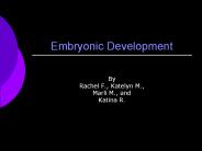 Embryonic Development