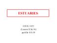 ESTUARIES PowerPoint PPT Presentation