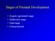 Stages of Prenatal Development