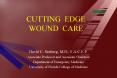 CUTTING EDGE WOUND CARE PowerPoint PPT Presentation