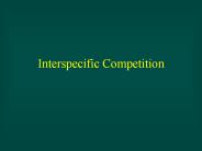 Interspecific Competition