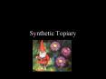 Synthetic Topiary PowerPoint PPT Presentation