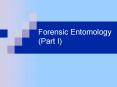 Forensic Entomology Part I PowerPoint PPT Presentation