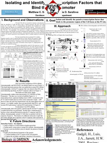 presentation player overlay