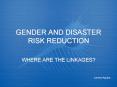 GENDER AND DISASTER RISK REDUCTION PowerPoint PPT Presentation