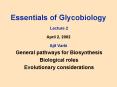 Essentials of Glycobiology Lecture 2 April 2, 2002 Ajit Varki PowerPoint PPT Presentation