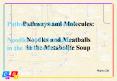 Pathways and Molecules: Noodles and Meatballs in the Metabolite Soup PowerPoint PPT Presentation
