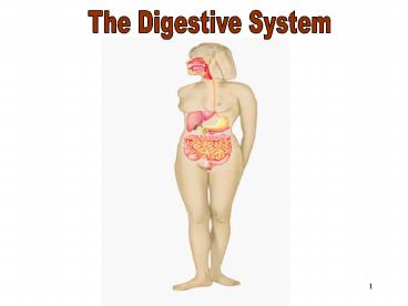 The Digestive System