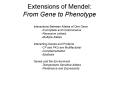 Extensions of Mendel: From Gene to Phenotype PowerPoint PPT Presentation