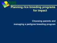 Planning rice breeding programs          for impact
