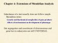 Chapter 4: Extensions of Mendelian Analysis PowerPoint PPT Presentation