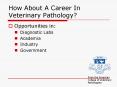 How About A Career In Veterinary Pathology PowerPoint PPT Presentation