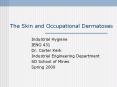 The%20Skin%20and%20Occupational%20Dermatoses PowerPoint PPT Presentation