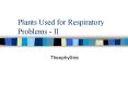 Plants Used for Respiratory Problems - II PowerPoint PPT Presentation