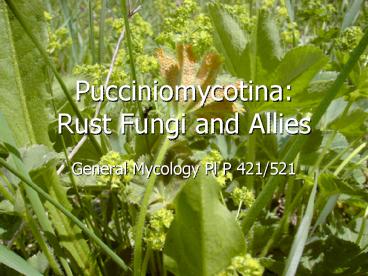 Pucciniomycotina: Rust Fungi and Allies